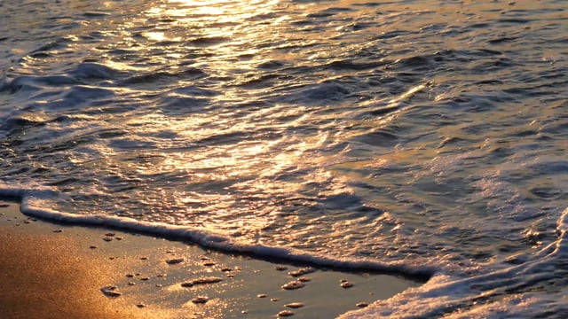 Saltline